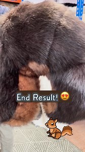 Custom Squirrel MiTail! 🐿️😍 Handmade to order! 🦊👍 This massive upright Squirrel Tail will make sure everyone notices you! 🐿️ Stunning 🐿️ Comes with harness 🐿️ Made to order 🐿️ Lets discuss colours Check us out in the link below: ⬇️⬇️ https://thetailcompany.com/product/squirrel-tail/ #customdesign #cosplay #custom #design #fursona #tails #tail #furrytails #squirrel #animatronic #furry | The Tail Company