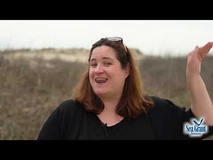 15 Second Science Gulf Stream