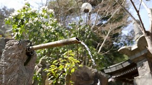 Water flowing of bamboo in traditional Japanese garden. nature background. Fresh water flowing and dripping from a bamboo pipe fauced in japanese garden. High quality FullHD footage Stock Video