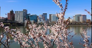A warm early spring day on the waterfront in Portland, Oregon in 2020.