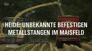 339K views · 2.4K reactions | Am Stadtrand von Heide haben Unbekannte erneut Eisenstangen an Mais-Pflanzen befestigt. Die Häcksler wurden dadurch stark beschädigt, verletzt wurde niemand. Die Polizei ermittelt - https://www.ndr.de/sh/mais222.html | NDR Schleswig-Holstein | Facebook