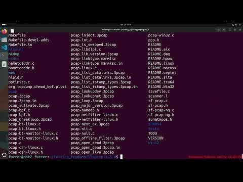 Fuzz1001 06 06 tcpdump