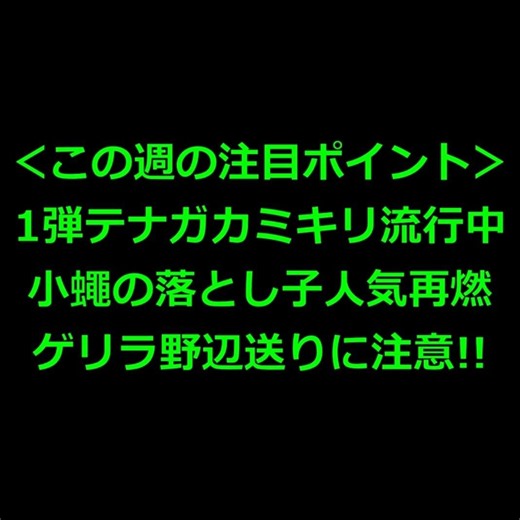 [Mushijingi] Metagame Breakdown (7/23-29/2026) #Mushijingi #DAISO #WakamushiChannel