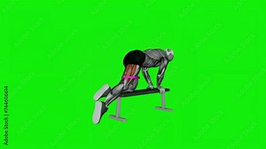 Donkey kicks on a bench with a robber band for back thigh muscle development.