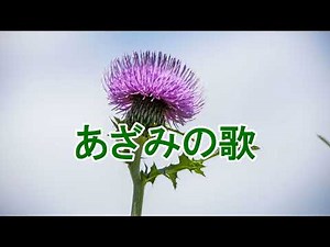 あざみの歌/伊藤久男 ♪旅彦