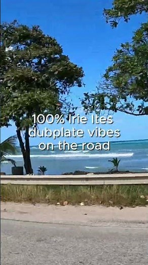 Jamaica Road Trip Mix 🇯🇲 | 100% Irie Ites Dubplates #shorts #reggae