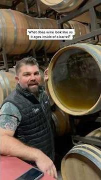 INSIDE AN AGING WINE BARREL