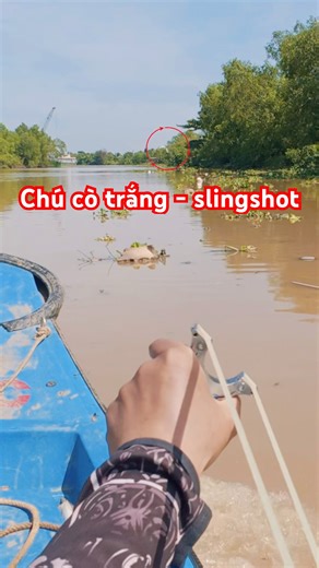 white storks learning to swim #slingshot