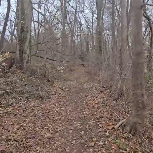 Angels Rock Us to Sleep - Mississippi Moon - Legion of Mary - Madison, WI 1975-04-20 #shorts #hiking