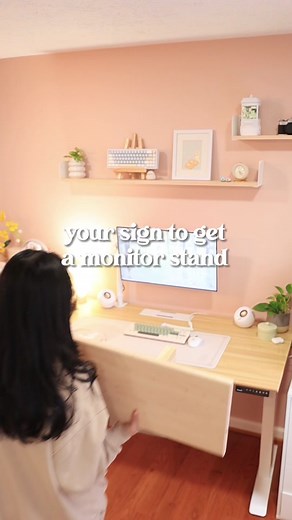 Desk Shelf Organizer for Monitor - Ergonofis Review