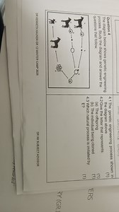 Question 4The diagram below shows a genetic engineering proces... | Filo