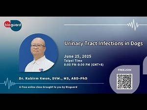 Urinary Tract Infections in Dogs