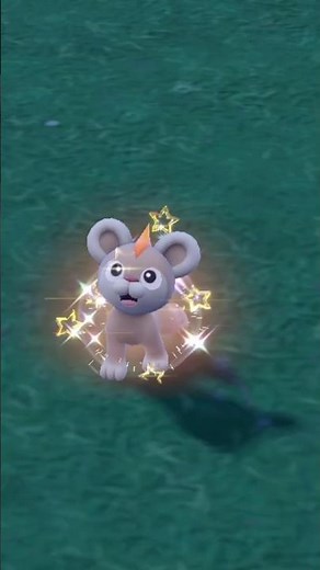 Pokemon Scarlet Shiny Litleo #pokemonscarletandviolet #pokemonsv #pokemonscarlet #pokemon #gameplay