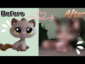 Making My First LPS custom!