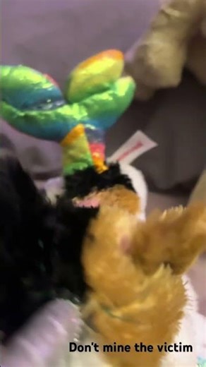 Custom cat made from narwhale