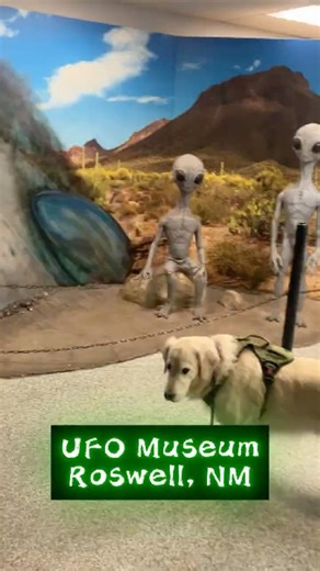 Roswell, NM UFO Museum & Alien Museum with Coopur the Golden Retriever