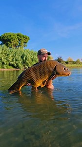 Duże jezioro ✅ Łódź ✅ CHIRP 2 ✅ Duży karp #DeeperHeroes #BoatFishing #BigFish #FishingBoat #FishingTrip #CarpFishing | Deeper