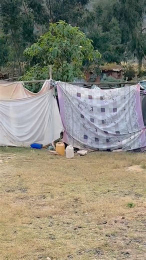 11K reactions · 1K shares | ከይፈረሰ ነድሕኖ | Jossy Ye Abune Selama | Facebook