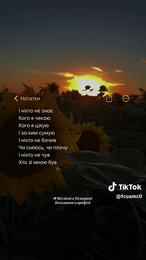 Скачати українські пісні про зсу - безкоштовно!