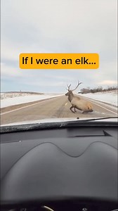 So majestic. 🫡🥺 | Mike Ingram for Everyone