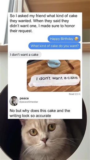 Creative Cake Fails: When Instructions Go Wrong