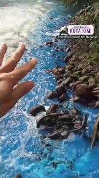 Asul na tila kemikal, tumatagas sa isang ilog? | Dami Mong Alam, Kuya Kim!