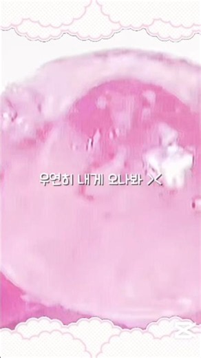 005/ 우연히 봄