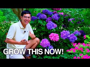 Easy Beautiful Cut Flowers to Grow in Summer, Tips & Tour