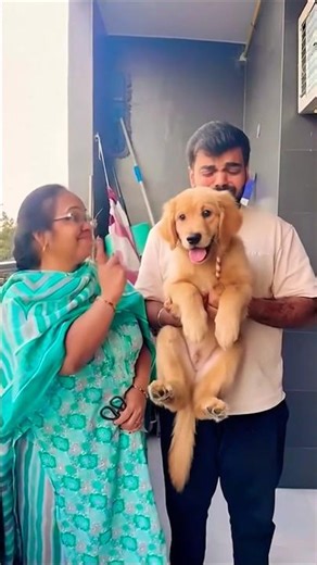 takla ka pepsi dog pi gaya #dogeshbhai #cartoon #hardtoonz #1m #upsc