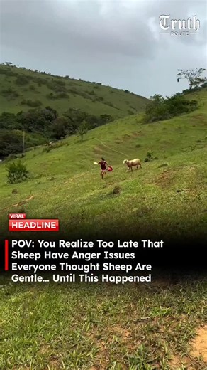Truth Route News on Instagram: "At first it looked like a harmless countryside moment — kids playing, camera rolling, laughter in the air. Then the sheep decided otherwise. What followed was pure chaos as the animal suddenly charged, sending everyone running downhill. The cameraman? Somehow always safe — as usual. The clip has gone viral not because of danger, but because of timing, surprise, and that universal moment when you realize you misjudged the situation completely. Sometimes nature remi