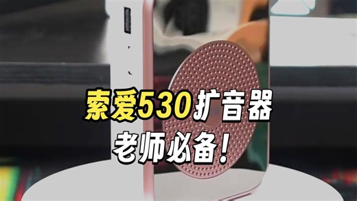 索爱（soaiy）S350防啸叫小蜜蜂扩音器教师专用喇叭麦克风上课教学导游腰挂户外长续航插卡收音机蓝牙播放器 金