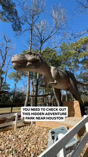 882K views · 10K reactions | Who wants to go?! 鸞 Get 10% off tickets only at our link in bio @houbucketlist using code BL10 ⬅️ Have fun at this adventure park with a shooting range, saloon shows, escape rooms, dino encounters, and more! Located 40 min outside of Houston #houston #htx #houstonbucketlist | Houston Bucket List | Facebook