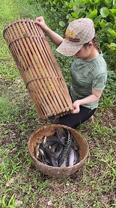 Amazing Fish Trapping Skills | Emma Girl Fishing