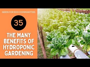 35 - Benefits of Hydroponic Gardening
