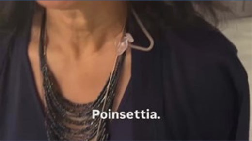 How do you pronounce poinsettia?