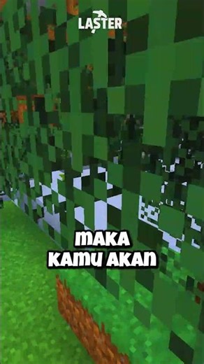 Lush Cave Di Luar Cave