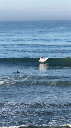 Only real ones know - mornings like this in Cardiff hit different 🏄‍♂️🌊 🎥 @lor_uhh #SurfSanDiego #CardiffByTheSea #SoCalSurf #WaveLife | The Best of San Diego