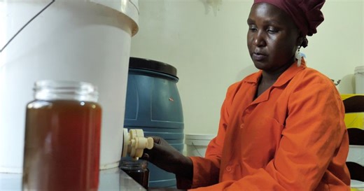 Beekeeping flourishes in Uganda | Africanews