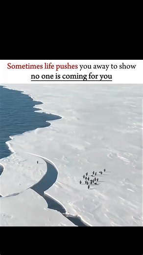 || Stay strong... #shorts