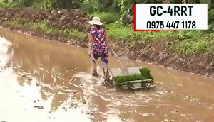 Following specific seedbed protocol and good land preparation, planting burden experienced throughout the rice planting season can be eased with this simple machine. 😁 Model: GC-4RRT Type: Pull behind type Dimension: L- 107 cm W- 70 H- 65 Weight: 35kgs Travelling: wheel type- iron wheel diameter- 50cm Planting portion: number of rows - 4 rows distance between rows - 20 cm hill spacing - 18 cm Operation efficiency (sqm/hr): 720sqm/ hr Seedling Condition: Seedling Type - seedling mat Seedling Hei