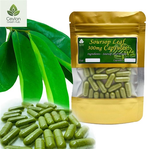 Organic Soursop Leaf Capsules | Annona Muricata | Graviola, Guanábana | 300mg Herb Capsules - Etsy