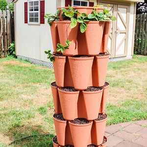 Greenstalk Planter Vertical Garden