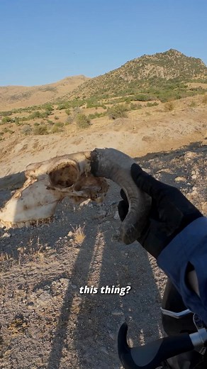 7.4K views · 223 reactions | Bikepacking psychological terrorism on the Sufi Trail 30/7/2025 - Day 3000 #biketouring #bikepacking #cicloturismo #cycling #sufitrail | Davide Travelli | Facebook