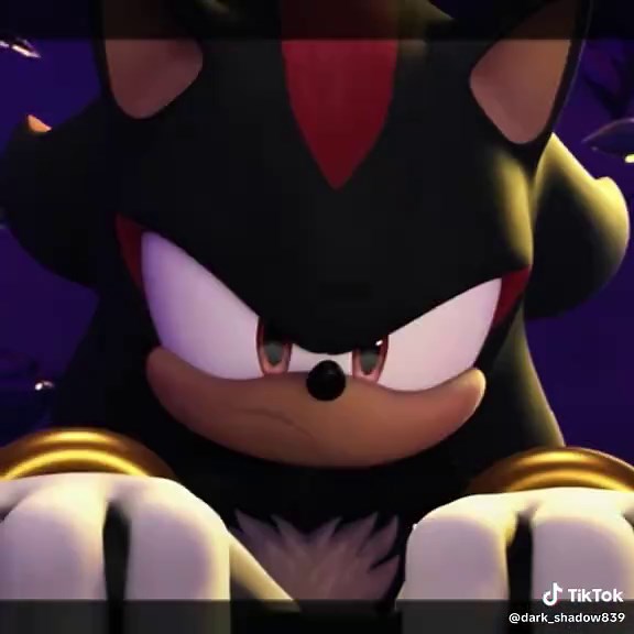 Sonic Prime: Shadow, le hérisson beau et captivant