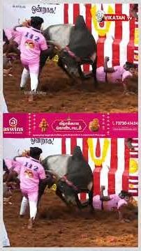 வீரர்களுக்கும் தண்ணி காட்டிய காளை! | Alanganallur Jallikattu 2026