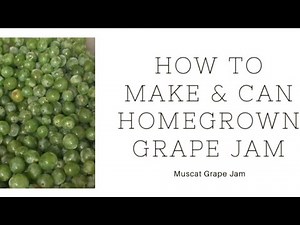 How To Make Homegrown Grape Jam + Preserving | Garden 2 Table | The Urban Lady Bug