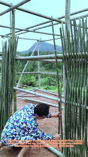 Building a bamboo fence: simple, cheap, and eco-friendly!