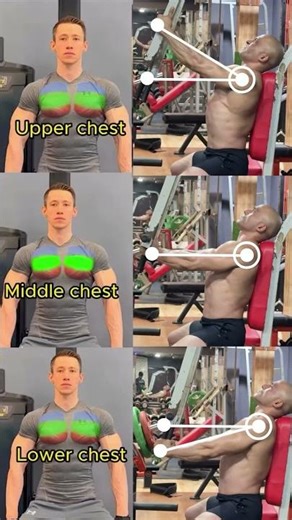 "🏋️‍♂️ Master the Pec Deck Fly: Your Ultimate Chest Builder! 💥"