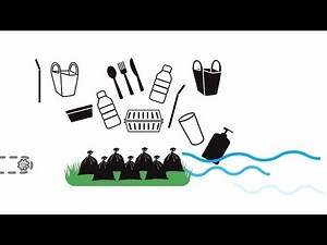 Circular Economy for Plastics - Circular Economy Leadership Coalition