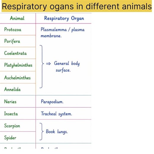 Respiratory organs in different animals #uptgtbiology #pgt